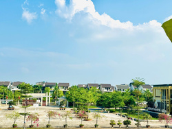 Thumb %e1%ba%a2nh tr%c6%b0%e1%bb%9dng